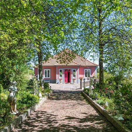 Villa Camelia Boutique House Камаша Экстерьер фото